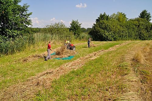 Gröben Landschaftspflege (Foto: Peter Koch)