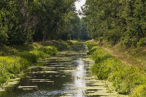 Foto: Anton Lehnig, Lizenz: Naturpark Nuthe-Nieplitz