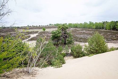 Foto: Johannes Müller, Naturwacht, Lizenz: Johannes Müller, Naturwacht