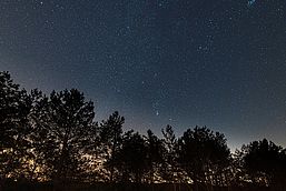Sternenhimmel, Foto: Tilo Geisel, Lizenz: Tilo Geisel