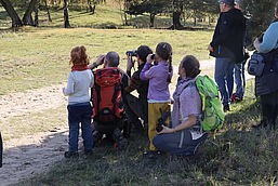 Foto: Anja Emrich, Lizenz: Landschafts-Förderverein Nuthe-Nieplitz-Niederung e.V.